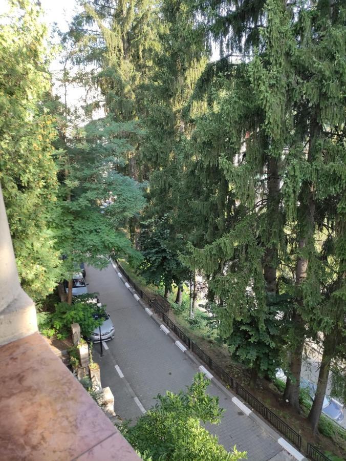Băile Olăneşti Casa Rosa 빌라 외부 사진