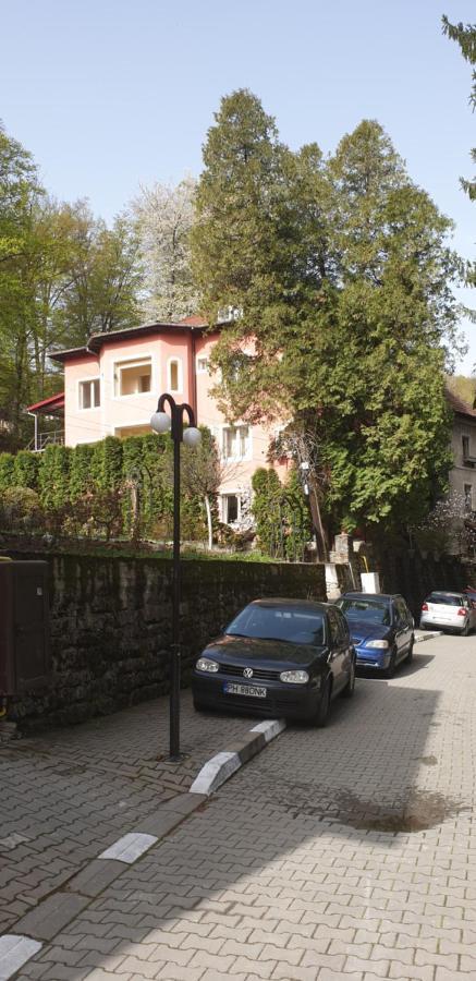 Băile Olăneşti Casa Rosa 빌라 외부 사진