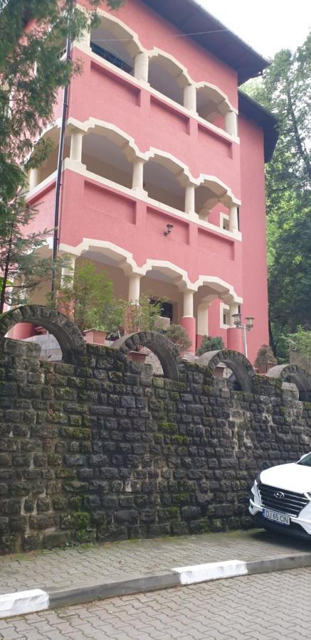 Băile Olăneşti Casa Rosa 빌라 외부 사진