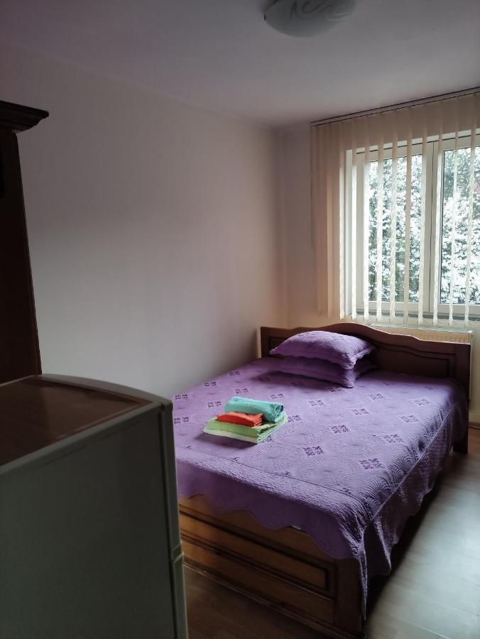 Băile Olăneşti Casa Rosa 빌라 외부 사진