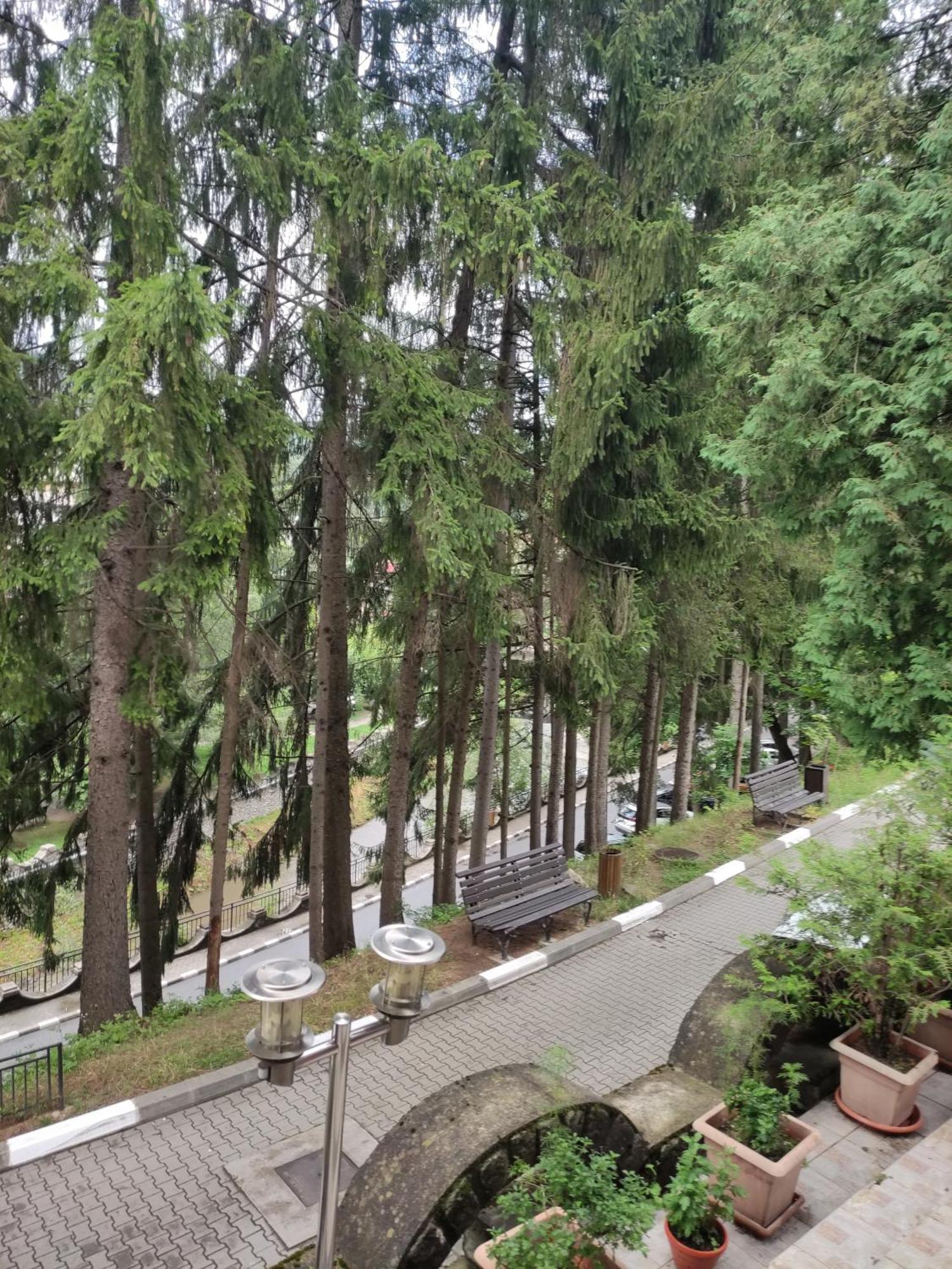 Băile Olăneşti Casa Rosa 빌라 외부 사진