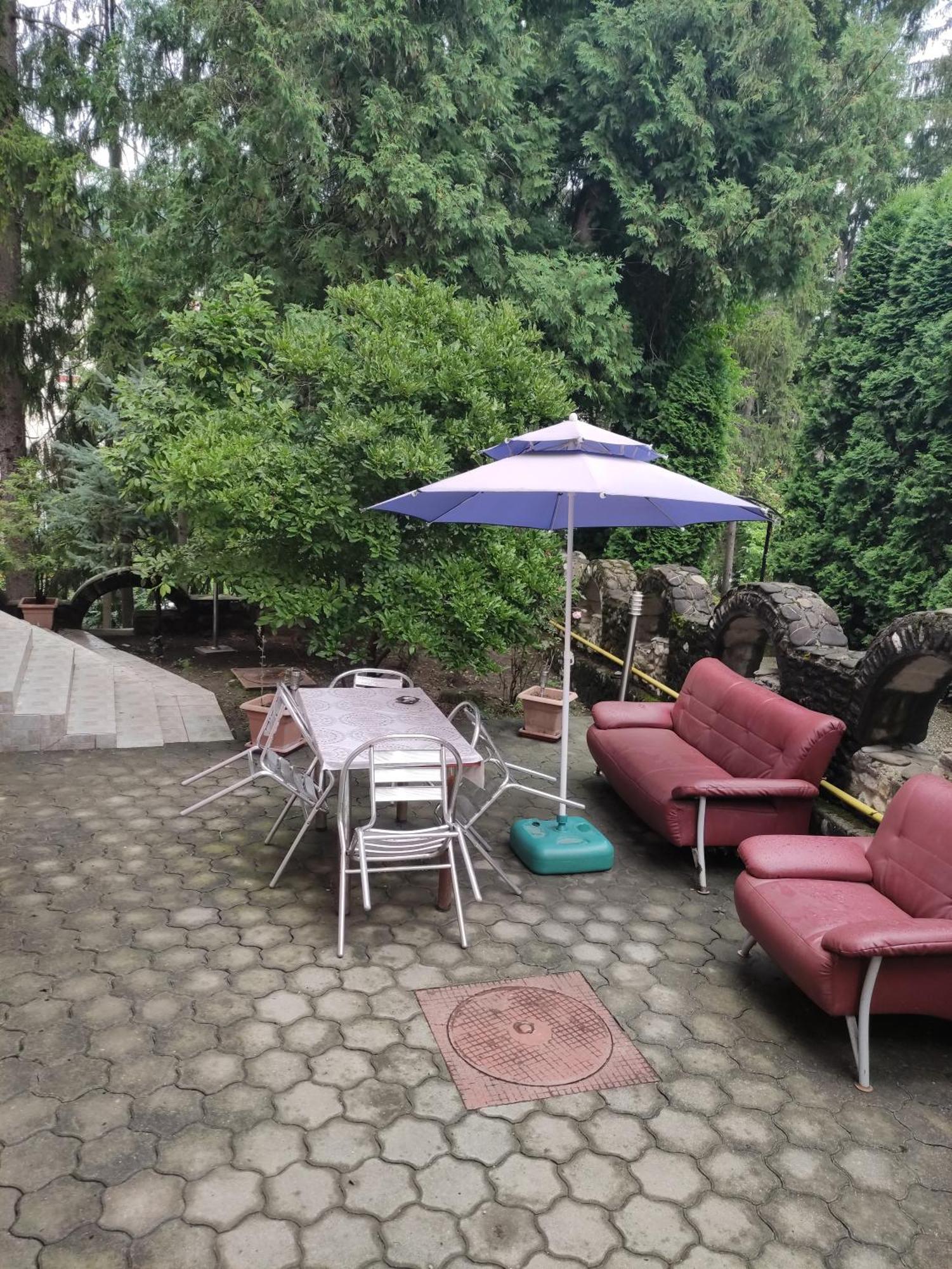 Băile Olăneşti Casa Rosa 빌라 외부 사진