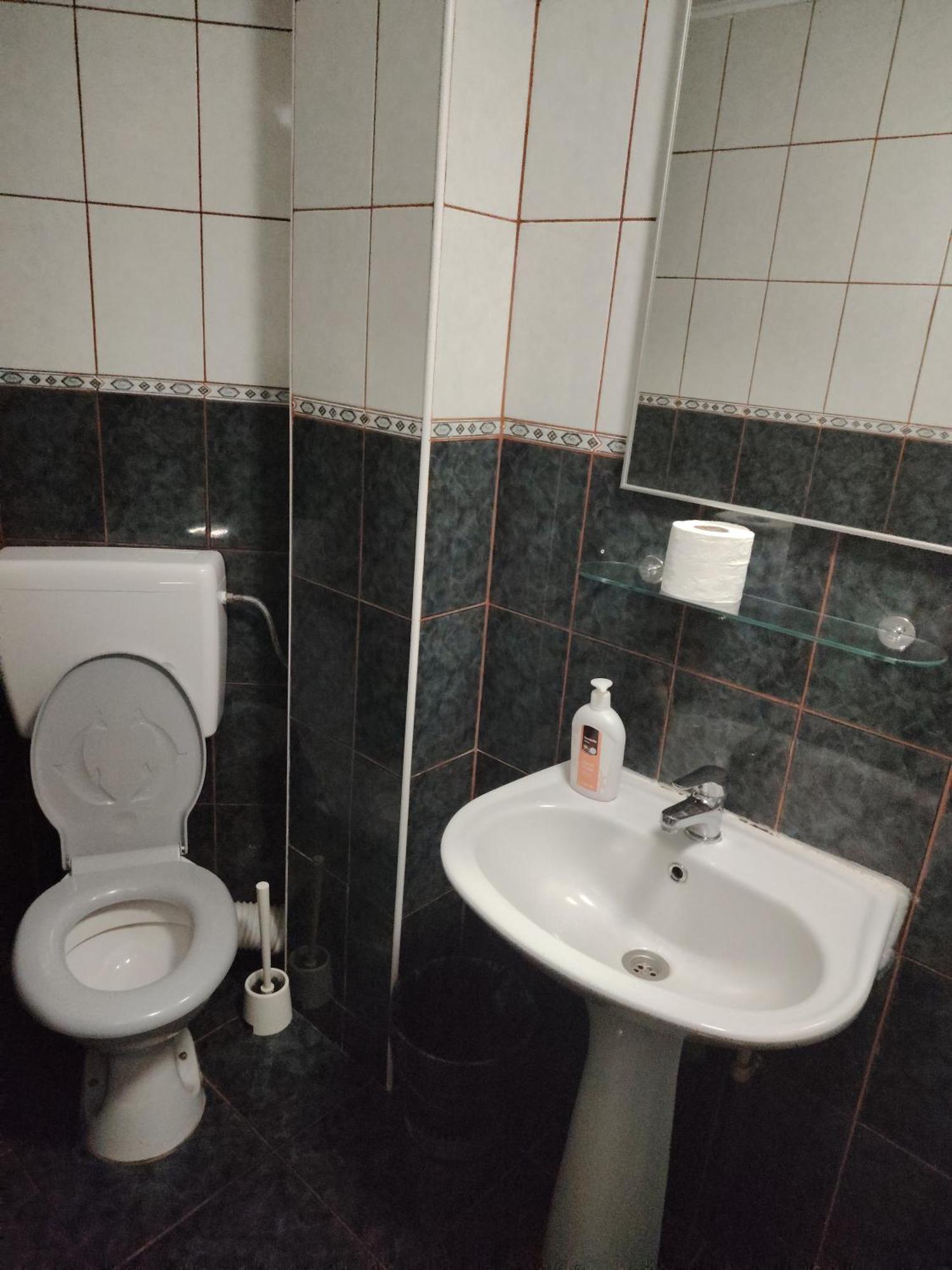 Băile Olăneşti Casa Rosa 빌라 객실 사진